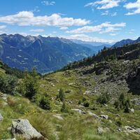 Selva - Cancian