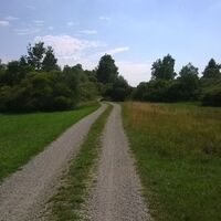 Viehlaßmoos