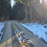 Forstweg Richtung Ammering