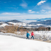 Blick auf die Winterlandschaft Kärntens
