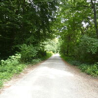 Donauradweg - Durch den Auwald von Obereichingen nach Leipheim