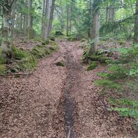 weiterer Anstiegsweg Nr. 23 etwas steiler