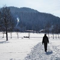 Ob mit dem Schlitten, den Skiern oder zu Fuß, in Werfenweng ist Platz genug für alle da.