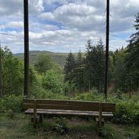 Ausblick vom Leininger Klosterweg