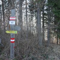 Abstieg Richtung Höllgraben