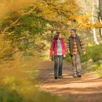 Herbstliche Stimmung im Tiefental