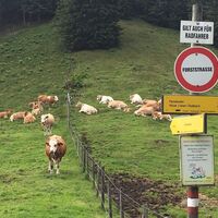 tagestour übelbach - zitoll_img_29558553