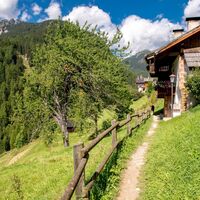 Campitello - Pian ©Archivio APT Val di Fassa