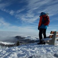 Schneeschuhtrail Selibüel-Panoramatrail