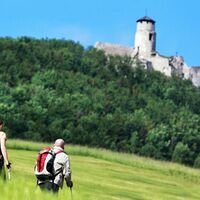 Weg zur Araburg