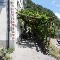 Unter Reben hindurch führt der Wanderweg