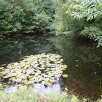Kleiner Weiher am Birotshof