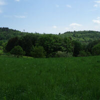 bei den Waldhütten Dürnstein