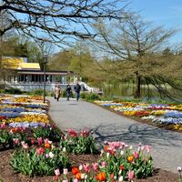 Frühjahrsblüher am Emsee