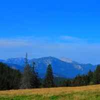 Niederalpl - Hohe Veitsch - Seewiesen