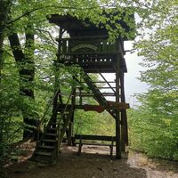 Enzianwarte beim Mühlsteinbruch