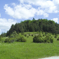 Nähberg bei Burladingen-Ringingen