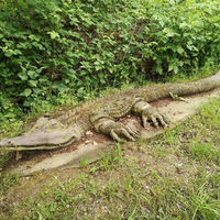 Ars Natura Spangenberg "Krokodil"