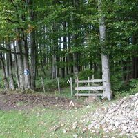 Kurz durch den Wald