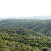 auf der Hirschwand