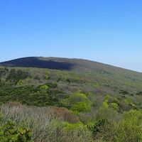 auf der Klesheimwarte