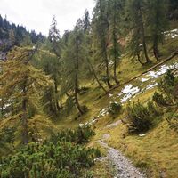 hinab über das Törl in das Halltal