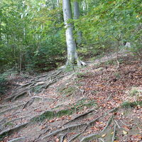 am Eselsteig hoch