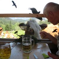 Göriacher Alm und Hochanger