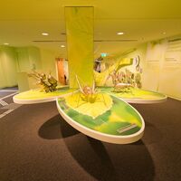Einstieg in die Erlebnisausstellung "Wildnis(t)räume"