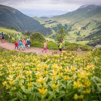Auf dem Wanderweg