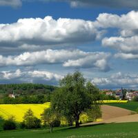 Blick auf Helmsheim