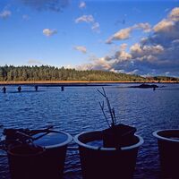 Bruneiteich Heidenreichstein