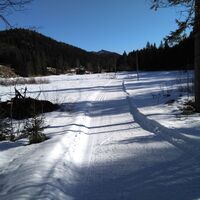 Wintergenuss auf der Loipe Fadental - Schnittlermoos