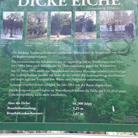 Hinweistafel Naturdenkmal Dicke Eiche