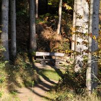 Holzweg Sieg