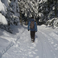 Winterwanderung 4 - Herrischried