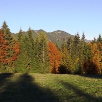 Auf der Dreier Alm, Sinacher Gupf