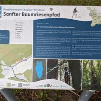 Info Tafel zum Sanften Baumriesenpfad