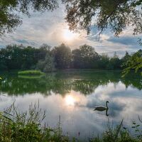 Seeloch im Naturschutzgebiet "Alte Neckarschlinge" | Lauffen am Neckar | HeilbronnerLand