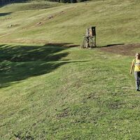Im Sommer beweidete Almwiesen