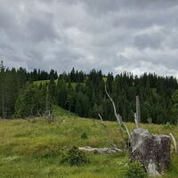 Übergang unmarkierter Steig zur Kampalpe