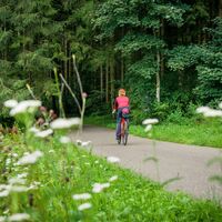 Ein schöner Wechsel zwischen Wald und Wiesen