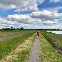 Spaziergängerin auf dem Linsweger Esch