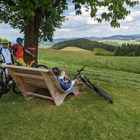 MTB-Strecke_Bad_Zell_(c)_Franz_Kern_(17)
