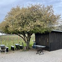 Immer wieder Ausschankhütterln am Weg (saisonal offen)