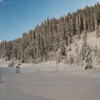 rechts zum Trämpelpfad und Übereck