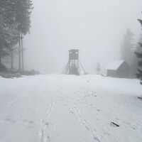 Gerade weiter bei Hochstand und Hütte