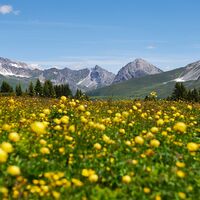 Prätschalp im Sommer