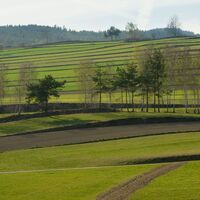 Streifenfluren Groß Gerungs