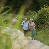 Wanderer im Ried auf der Mindelsee-Runde